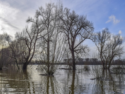 Maltempo: 2 mila ettari sott'acqua in Val di Cornia