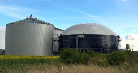 Latina con la grana della centrale biogas