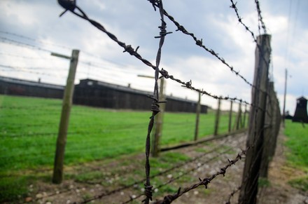 La memoria per la Shoah resta antidoto all'indifferenza