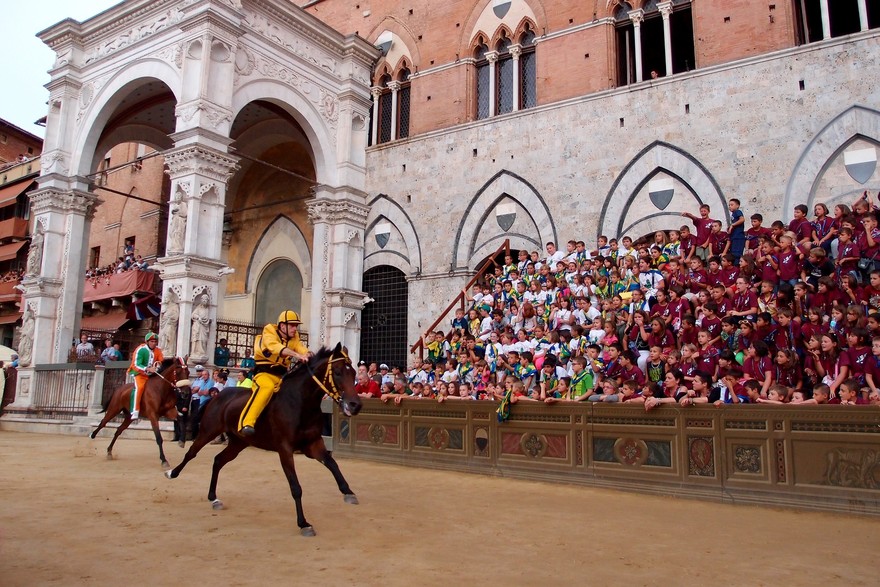 palio siena.jpg