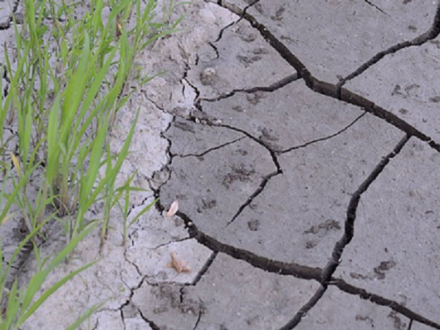 Desertificazione e degrado del suolo, la situazione peggiora