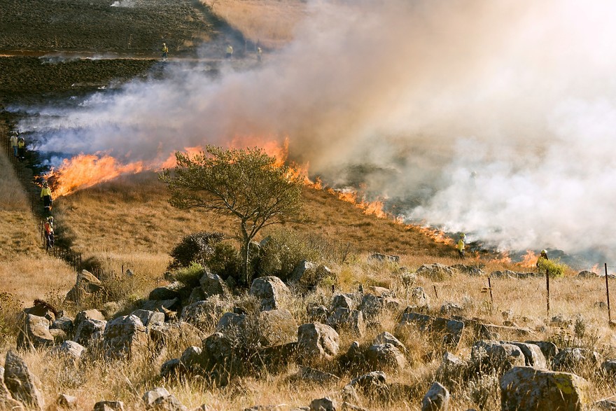 grass-fire-807388_1920.jpg