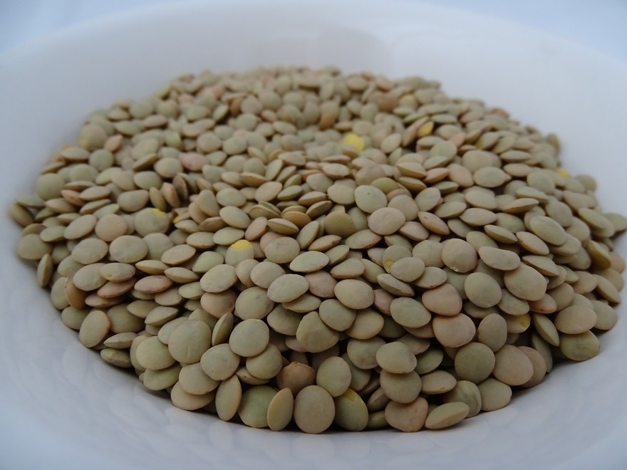 lentils-2790516_1920.jpg