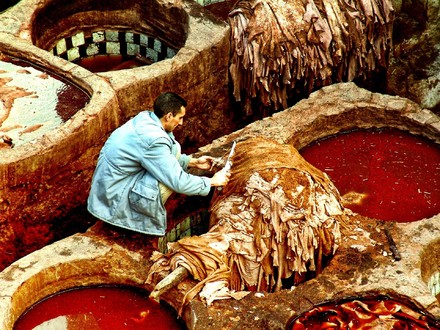 La pelletteria scopre il vegetale 