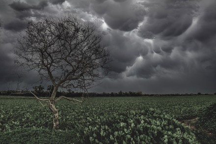 Cinquemila aziende agricole sott'acqua per il maltempo