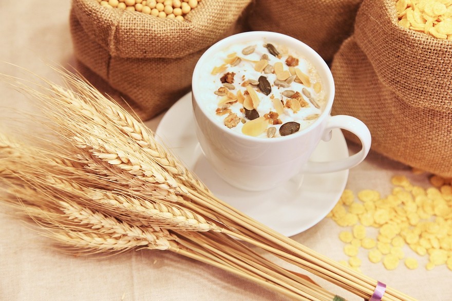 cereals-ga86853acc_1280.jpg