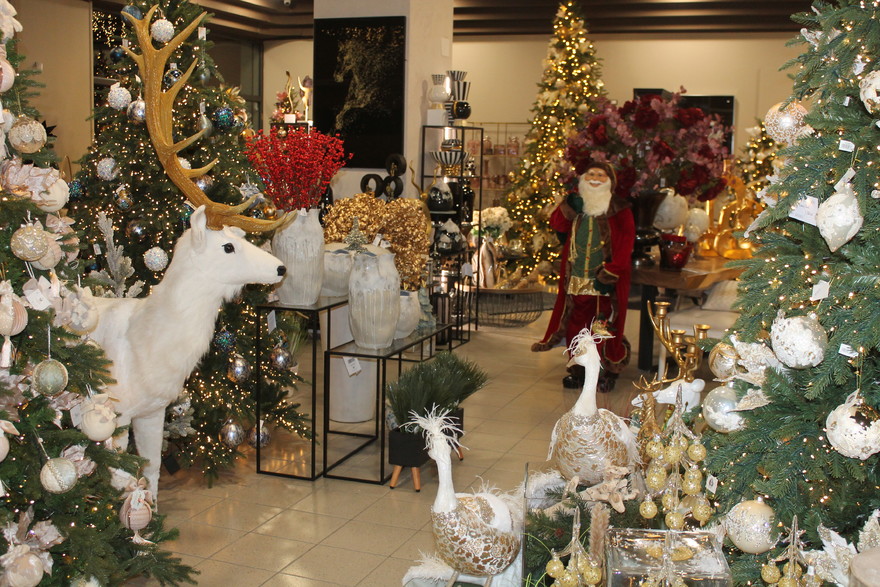 Il FIoraio Frosinone