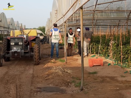 Controlli sul lavoro nero nell'agroalimentare