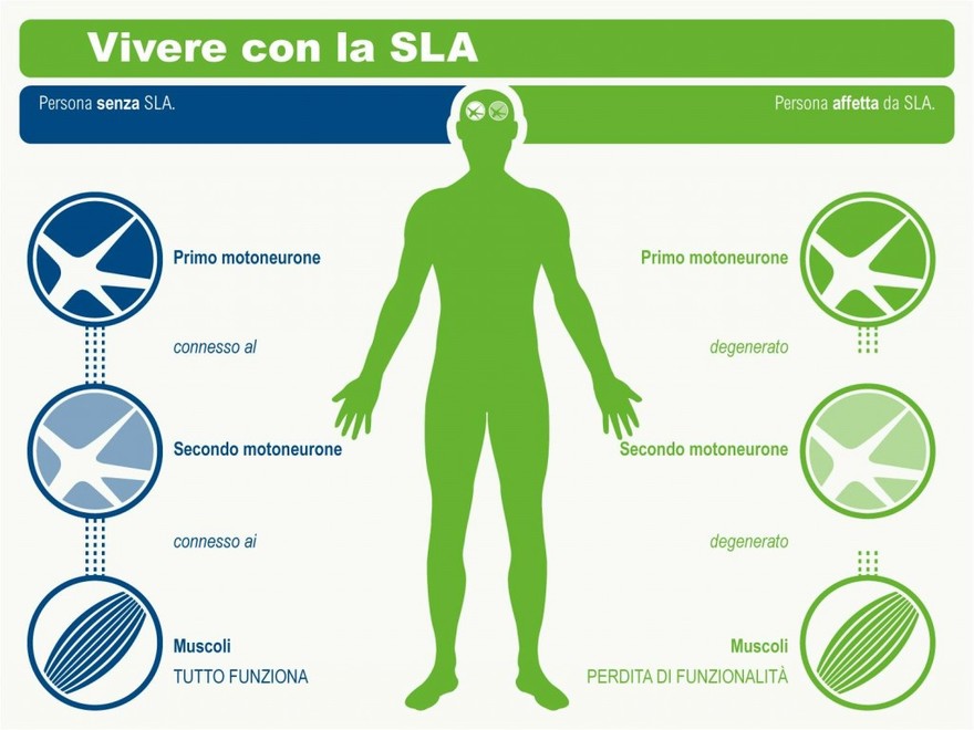INFO-SULLA-SLA.jpg