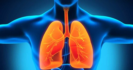 Cancro ai polmoni, possibile predire efficacia immunoterapia 