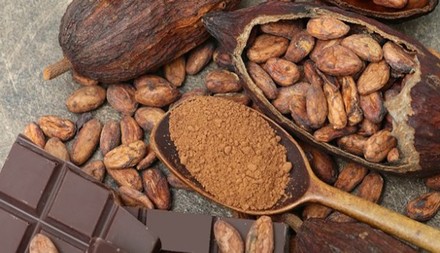 Contro lo stress e i cibi grassi un beverone al cacao