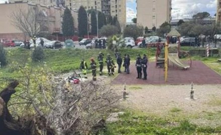 Tragedia a Roma, cade albero in un parco e uccide una donna
