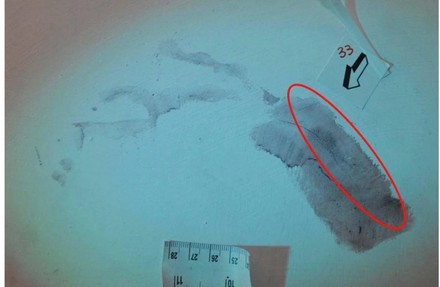 Caso Garlasco, consulenti divisi: tutto sull'impronta 33