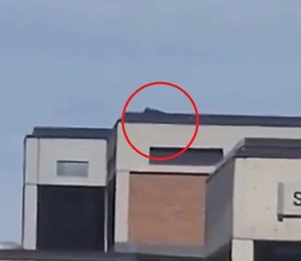 Ucciso Charlie Kirk, ipotesi cecchino