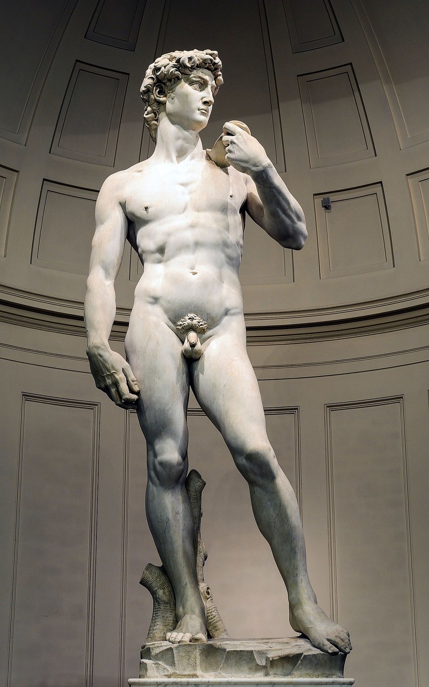 Michelangelo's_David_2015.jpg